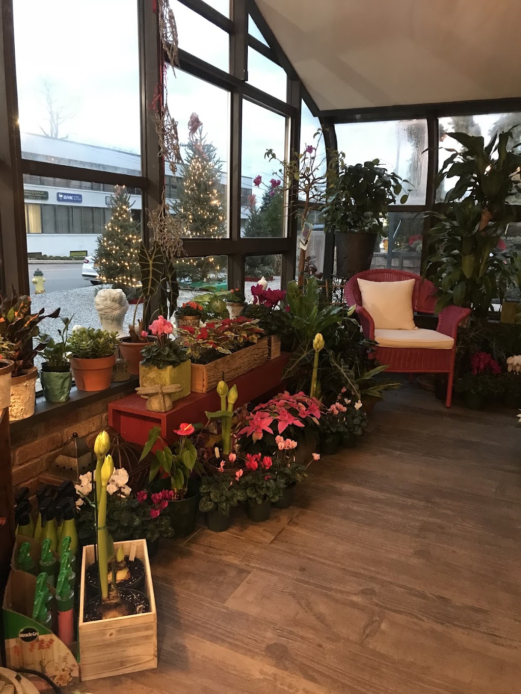 Blooming Buds | 58 Halstead Ave, Harrison, NY 10528 | Phone: (914) 381-0333
